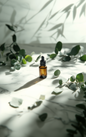 Invigorate Blend - Essential Oil